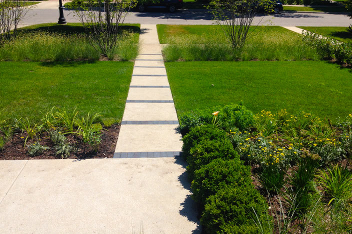 Historic Home with a Contemporary Vibe