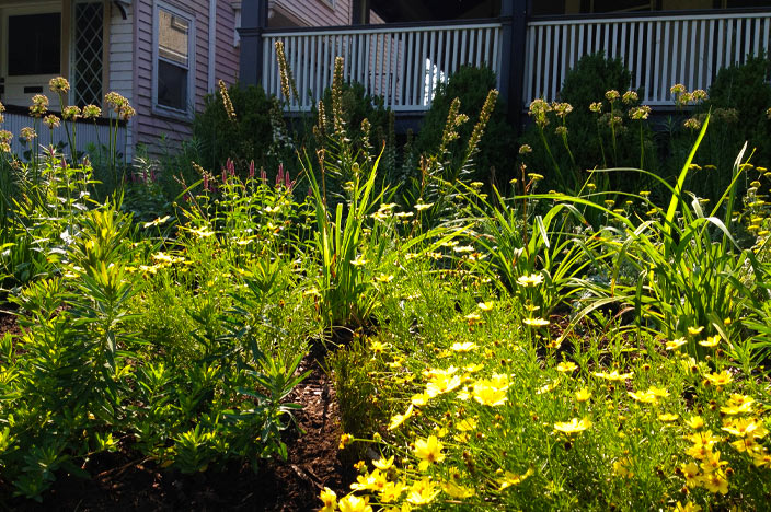Historic Home with a Contemporary Vibe
