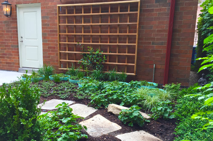 Lincoln Park Three-Flat