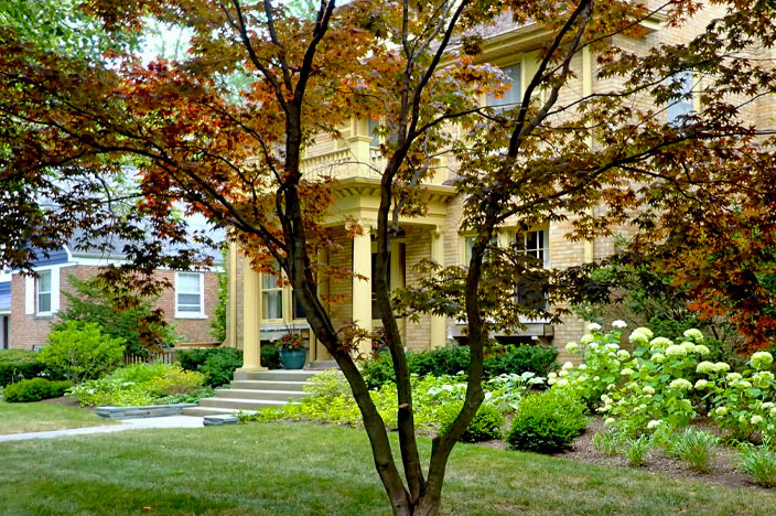 Claiming Wasted Space for a Pocket Garden