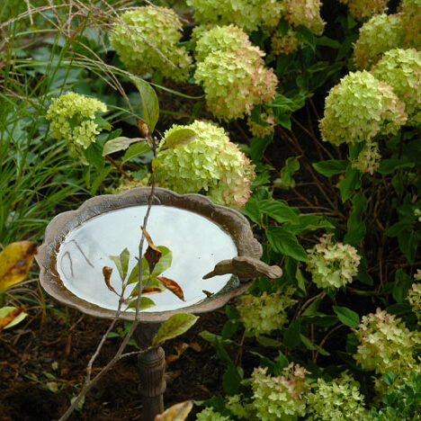 Park Ridge Enclosed Porch and Patio